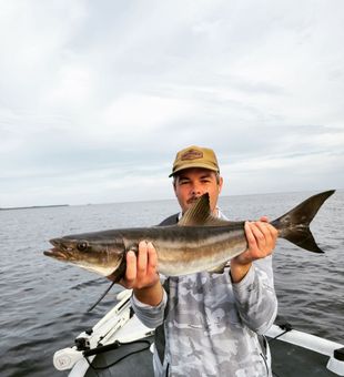 Cobia, Deep Sea Fishing in Fort Myers